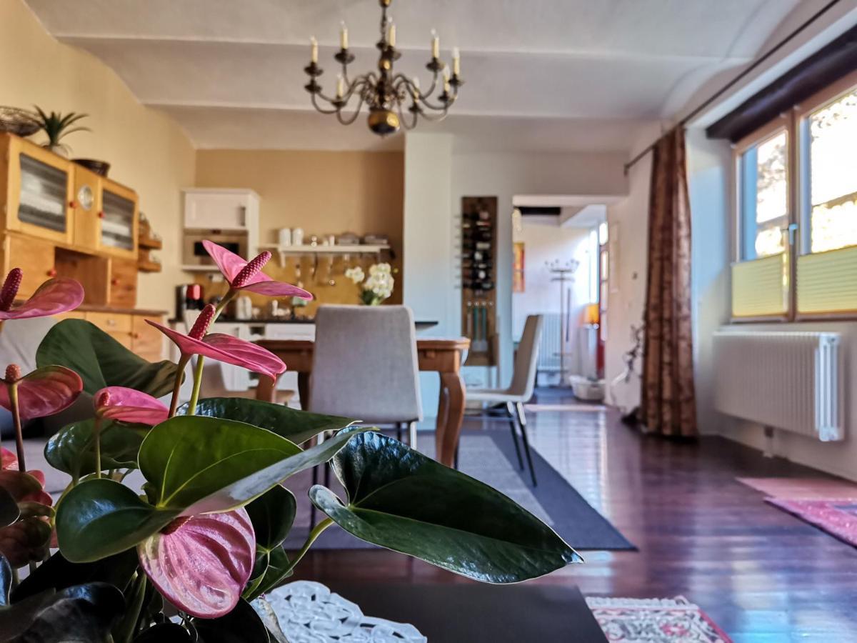 Gaestehaus Doris برباش ام نيوسيدله المظهر الخارجي الصورة